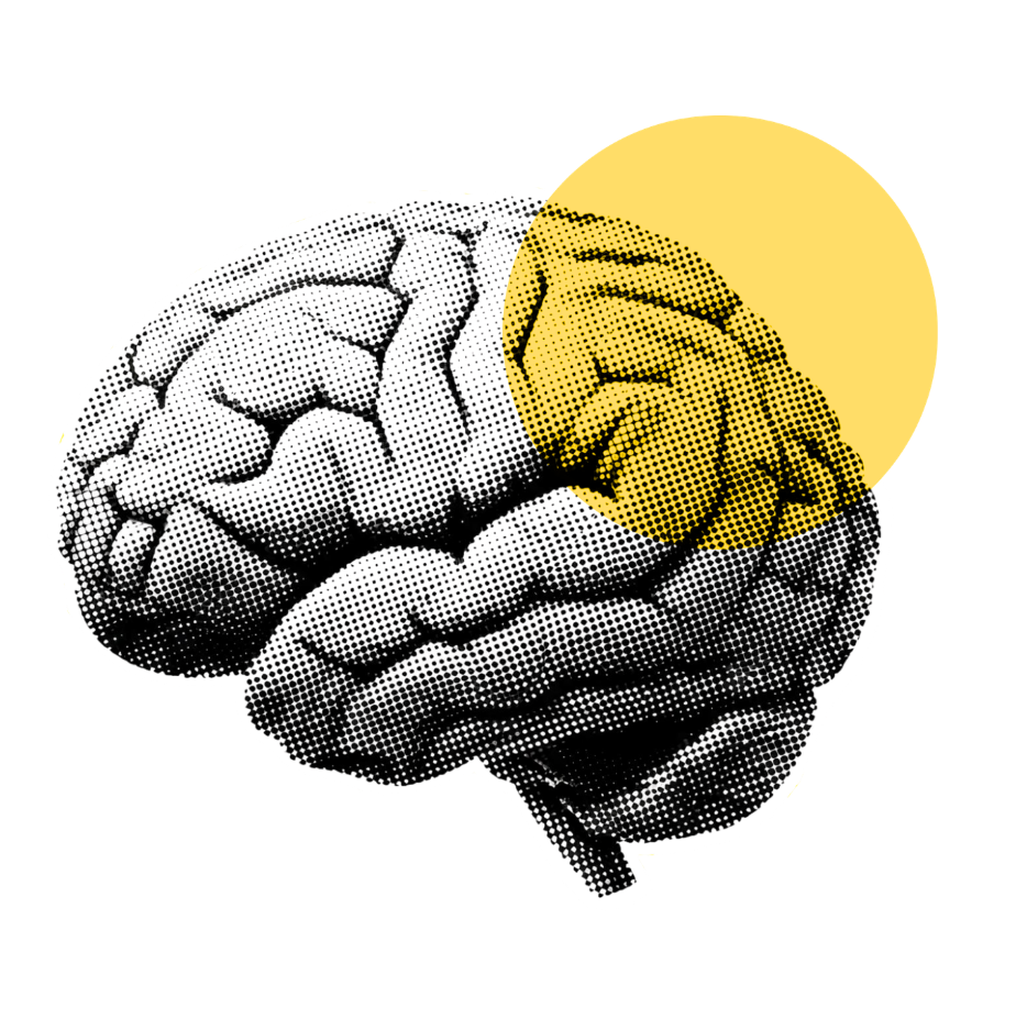 neurodivergent neurodivergent