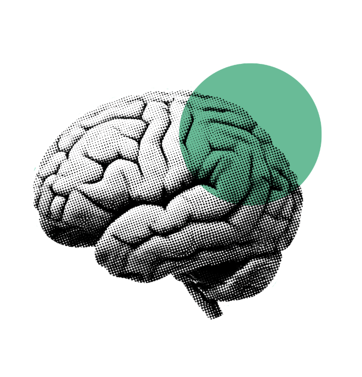 neurodivergent